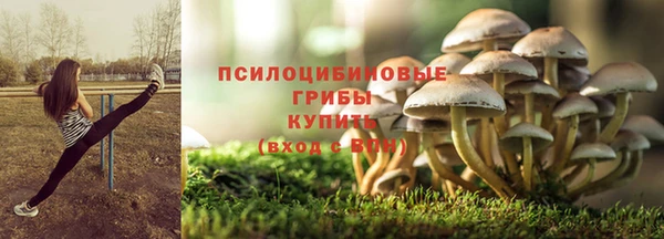 МДПВ Беломорск