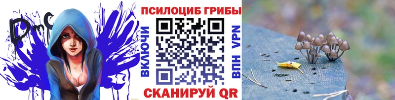 Псилоцибиновые грибы GOLDEN TEACHER Волосово